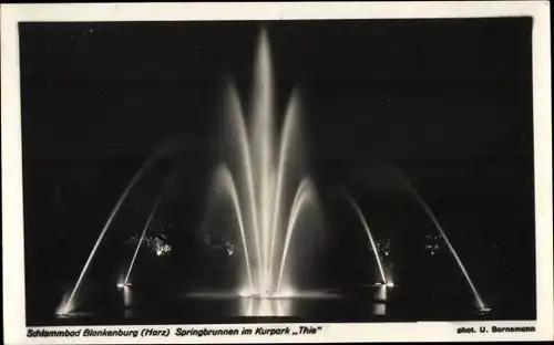 Ak Blankenburg am Harz, Springbrunnen im Kurpark Thie bei Nacht