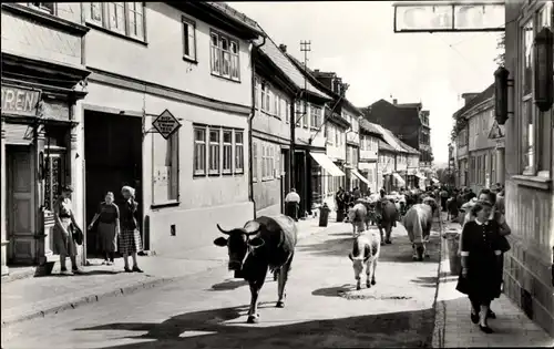 Ak Friedrichroda im Thüringer Wald, Straßenpartie mit Viehtrieb, Kühe