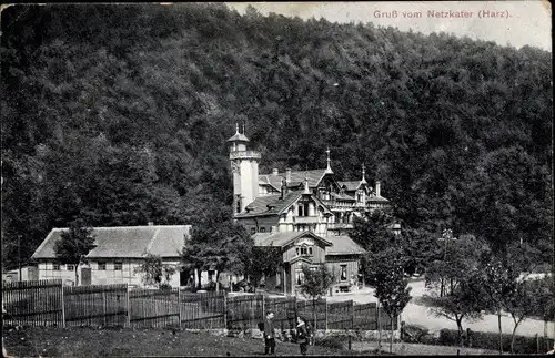 Ak Netzkater Ilfeld Harz, Blick zum Ort, Hotel Netzkater