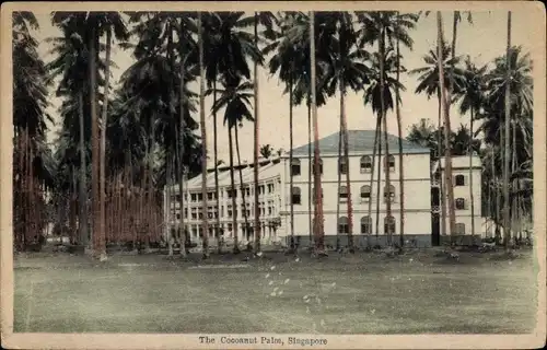 Ak Singapore Singapur, The Cocoanut Palm, Palmen, Anwesen