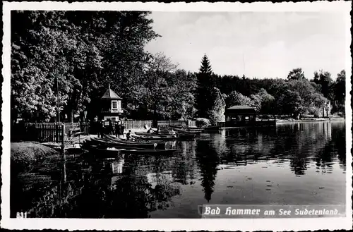 Foto Ak Hamr na Jezeře Hammer am See Reg. Reichenberg, Boote, Anlegeplatz