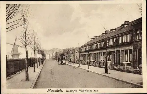 Ak Maassluis Südholland, Koningin Wilhelminalaan, Windmühle