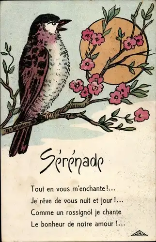 Ak Sérénade, Tout en vous m'enchante, Comme un rossignol je chante
