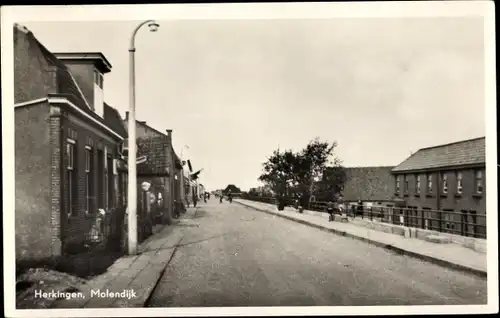 Ak Herkingen Südholland, Molendijk