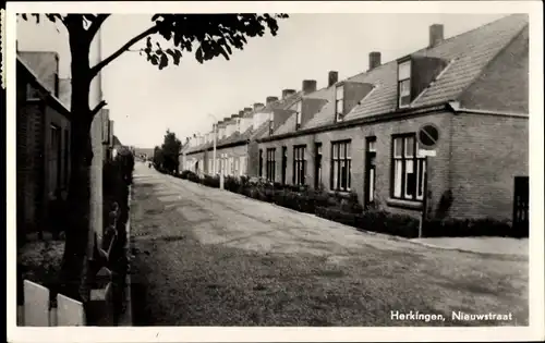 Ak Herkingen Südholland, Nieuwstraat