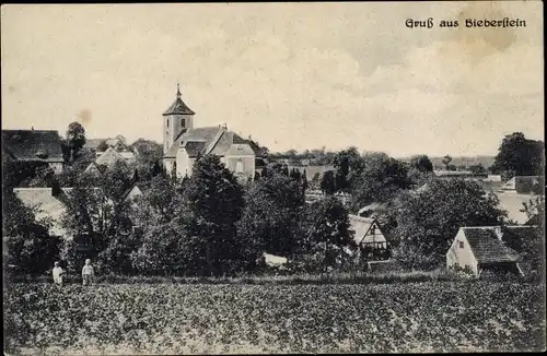 Ak Bieberstein Reinsberg in Sachsen, Blick auf den Ort