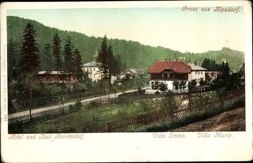 Ak Kipsdorf Altenberg im sächsischen Erzgebirge, Hotel und Bad Fürstenhof, Villa Emma, Villa Marie