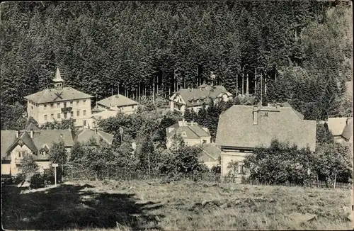 Ak Kipsdorf Altenberg im Erzgebirge, Teilansicht