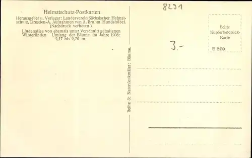 Ak Piskowitz Nebelschütz Sachsen, Lindenallee