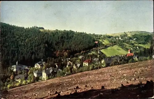 Ak Kipsdorf Altenberg im Erzgebirge, Panorama, Blick vom Ostabhange, Waldrodung