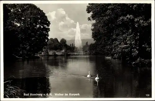 Ak Bad Homburg vor der Höhe Hessen, Weiher im Kurpark