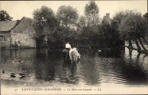 Ak Saint Valery sur Somme, La Mare aux Canards