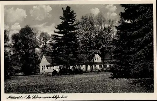 Ak Mittweida in Sachsen, Schwanenschlösschen