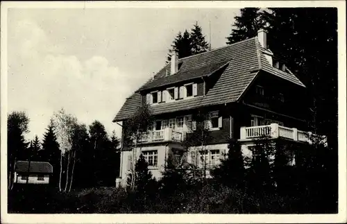 Ak Hinterzarten im Schwarzwald, Pension Haus Waldeck