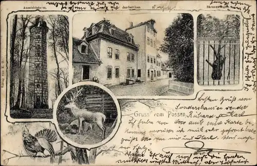 Ak Sondershausen im Kyffhäuserkreis Thüringen, Jagdschloss, Bärenzwinger, Hirsch, Aussichtsturm