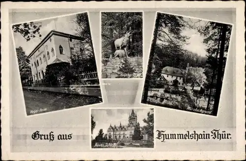 Ak Hummelshain in Thüringen, Vogel Heim, Neues Schloss, Hirschgruppe, Würzbachgrund