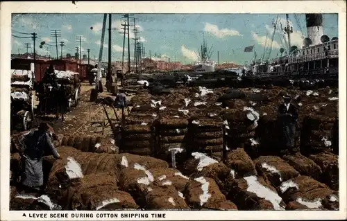 Ak New Orleans Louisiana USA, A Levee Scene during Cotton shipping Time