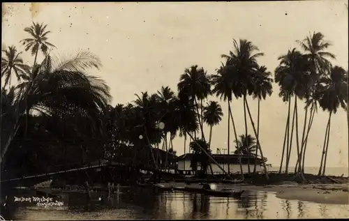 Ak Singapore Singapur, Partie am Meer mit Palmen und Haus