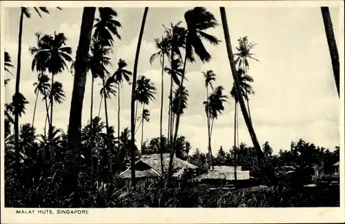 Ak Singapore Singapur, Malay Huts, Malaiische Hütten