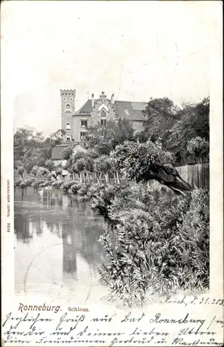 Ak Ronneburg in Thüringen, Schloss