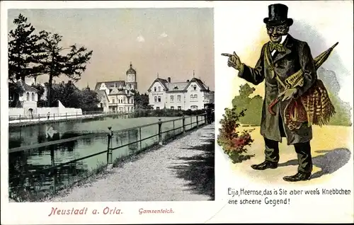 Ak Neustadt an der Orla, Gamsenteich, Fritze Bliemchen