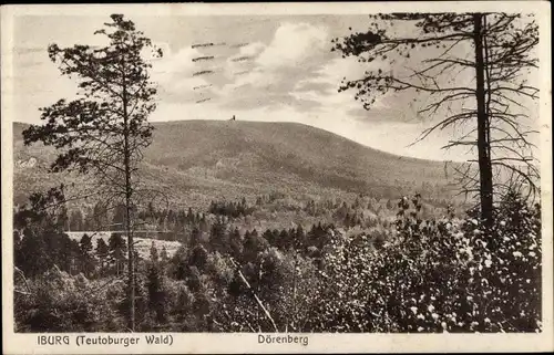 Ak Bad Iburg am Teutoburger Wald, Dörenberg