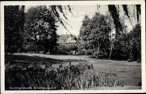 Ak Recklinghausen im Ruhrgebiet, Hindenburgpark