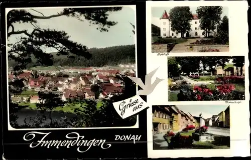 Ak Immendingen an der Donau Baden, Schloss, Bahnhof, Gesamtansicht von Immendingen