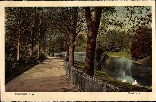 Ak Bochum im Ruhrgebiet. Stadtpark, Schwäne