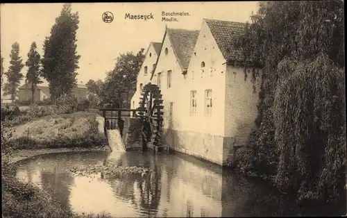 Ak Maaseik Maeseyck Flandern Limburg, Boschmolen Moulin