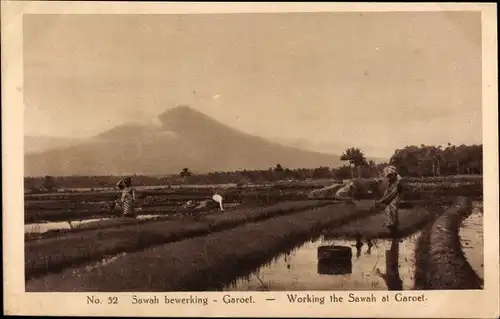 Ak Garoet Garut Java Indonesien, Working the Sawah