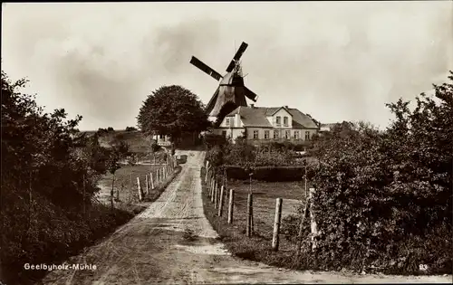 Ak Geelbyholz Brodersby Goltoft in Angeln, Windmühle