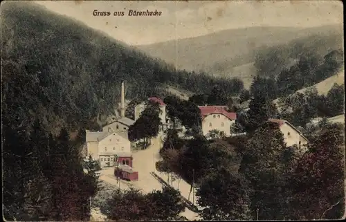 Ak Bärenhecke Johnsbach Glashütte im Osterzgebirge, Teilansicht der Ortschaft