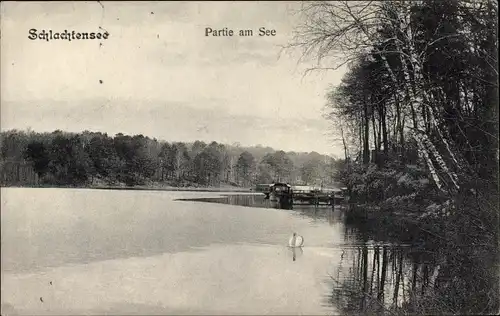 Ak Berlin Zehlendorf, Schlachtensee, Partie am See