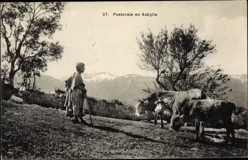 Ak Kabylie Algerien, Pastorale, Kuhhirte