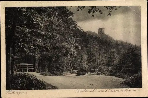 Ak Hattingen an der Ruhr, Stadtwald mit Bismarckturm