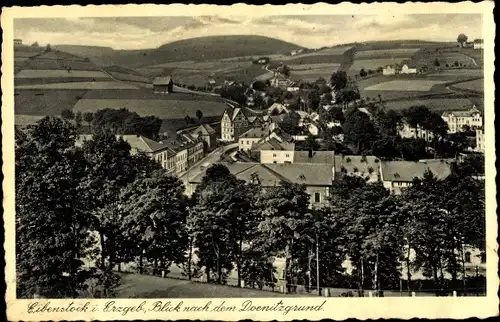 Ak Eibenstock im Erzgebirge Sachsen, Blick nach dem Doenitzgrund