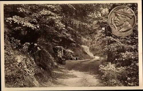 Ak Zschopau im Erzgebirge Sachsen, Stülpnerbrunnen, Plakette C.Beyer, Waldweg