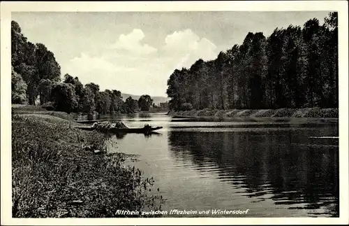 Ak Iffezheim am Rhein, Altrhein zwischen Iffezheim und Wintersdorf