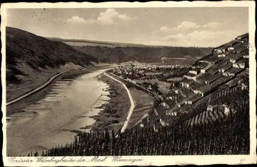 Ak Winningen an der Mosel, Blick entlang der Mosel, Weinberge