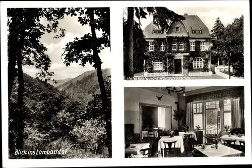 Ak Plein in Rheinland Pfalz, Blick ins Lambachtal, Hotel Waldschlösschen, Speisesaal