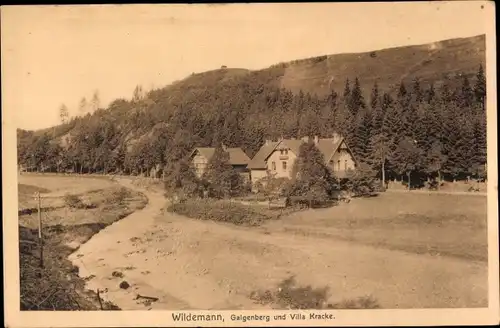 Ak Wildemann Clausthal Zellerfeld im Oberharz, Galgenberg und Villa Kracke