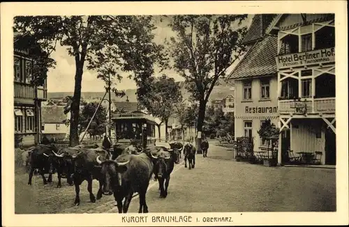 Ak Braunlage im Oberharz, Hotel Berliner Hof, Restaurant, Straßenbahn, Rinderherde