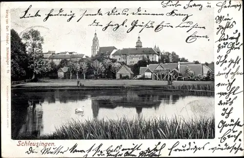 Ak Schleusingen in Thüringen, Blick über den Teich auf den Ort, Schwan