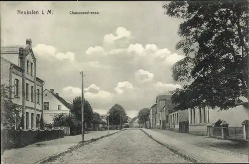 Ak Neukalen in Mecklenburg, Chausseestraße