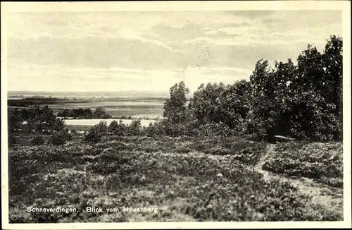 Ak Schneverdingen in der Lüneburger Heide, Blick vom Hopenberg