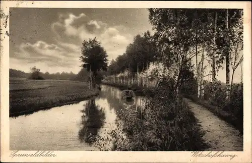 Ak Lübbenau im Spreewald, Wotschofskaweg mit Blick auf den Fluss
