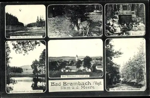 Ak Bad Brambach im Vogtland, Elsterquelle, Panorama, Teichlandschaft, Weg nach dem Preußenhäusel