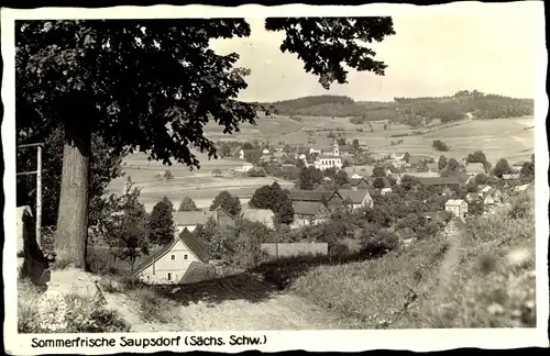 Ak Saupsdorf Sebnitz Sachsen, Teilansicht