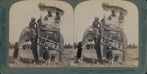 Stereo Foto Delhi Indien, Richly Dressed Elephant from Khairpur, Durbar Camp